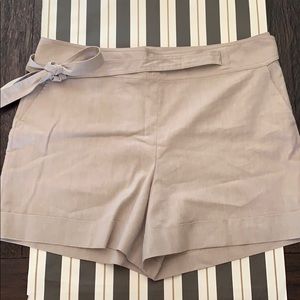 ANN TAYLOR Shorts (sz 18)